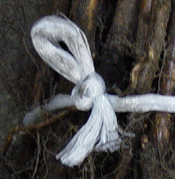 Knot